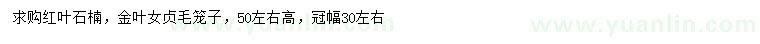 求購高50公分左右紅葉石楠、金葉女貞毛籠子