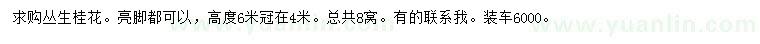 求購高度6米叢生桂花