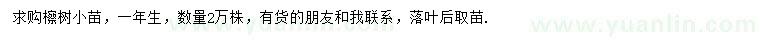 求購檫樹小苗一年生