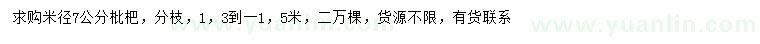 求購(gòu)購(gòu)米徑7公分枇杷