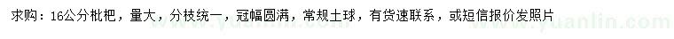 求購16公分枇杷