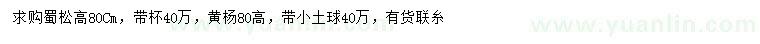 求購高80公分蜀松、黃楊