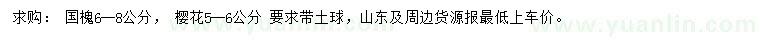 求購6-8公分國槐、 5-6公分櫻花