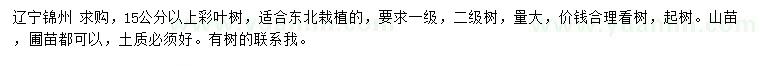 求購15公分以上彩葉樹