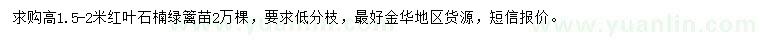 求購高1.5-2米紅葉石楠