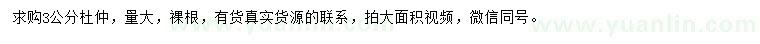 求購3公分杜仲