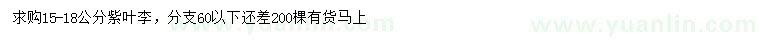 求購15-18公分紫葉李