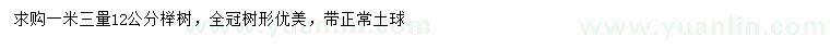 求購1.3米量12公分櫸樹