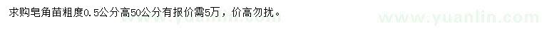 求購高50公分皂角苗
