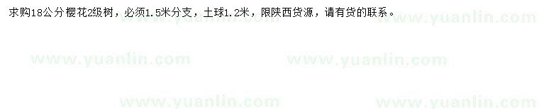 求購(gòu)18公分櫻花