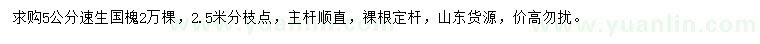 求購(gòu)5公分速生國(guó)槐