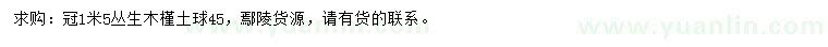 求購冠幅1.5米叢生木槿