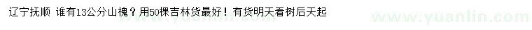 求購13公分山槐