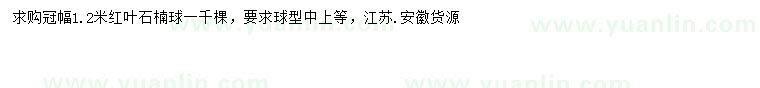 求購(gòu)冠幅1.2米紅葉石楠球