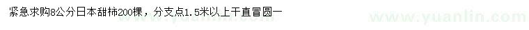 求購8公分日本甜柿