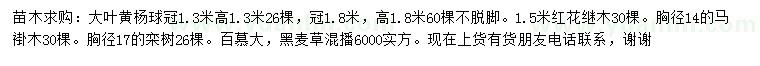 求購大葉黃楊球、紅花繼木、馬褂木等