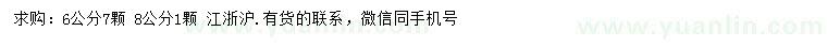 求購6、8公分原生羽毛楓