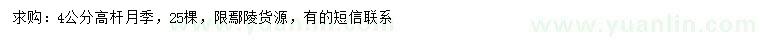 求購4公分高桿月季