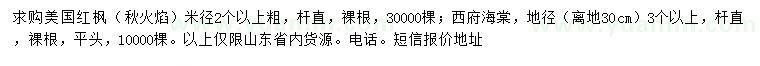 求購(gòu)米徑2公分以上美國(guó)紅楓（秋火焰）、離地30公分地徑3公分以上西府海棠