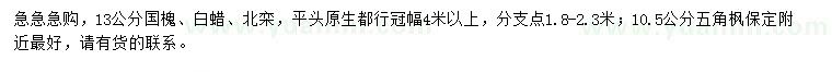 求購(gòu)國(guó)槐、白蠟、北欒等