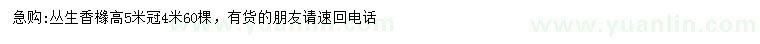 求購(gòu)高5米叢生香櫞