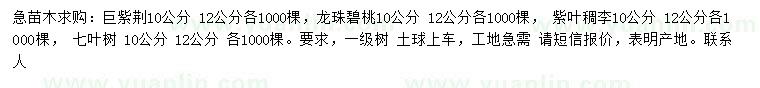 求購巨紫荊、龍球碧桃、紫葉稠李等