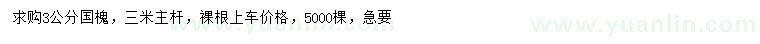 求購3公分國槐