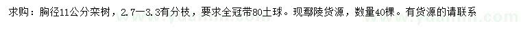 求購胸徑11公分欒樹
