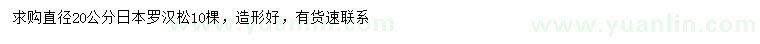 求購直徑20公分日本羅漢松