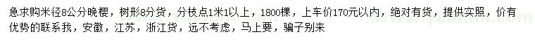 求購(gòu)米徑8公分晚櫻
