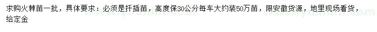 求購(gòu)高30公分火棘