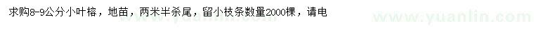 求購8-9公分小葉榕