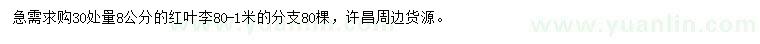 求購30處量8公分紅葉李