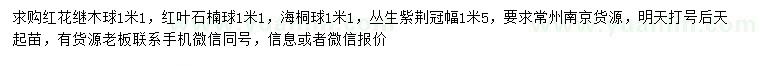 求購紅花繼木球、紅葉石楠球、海桐球等