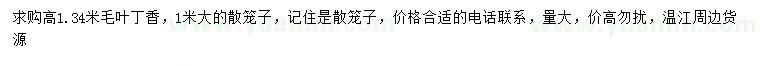 求購高1.34米毛葉丁香