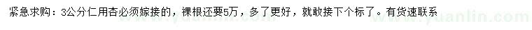求購3公分仁用杏