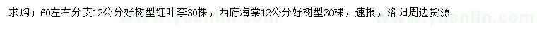 求購12公分紅葉李、西府海棠