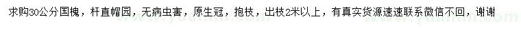求購30公分國槐