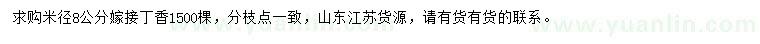 求購米徑8公分嫁接丁香