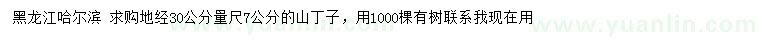 求購地徑30公分量尺7公分山丁子