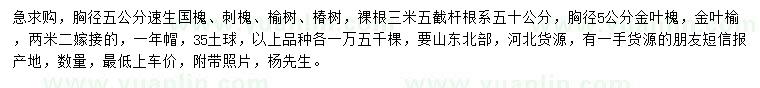 求購速生國槐、刺槐、榆樹等