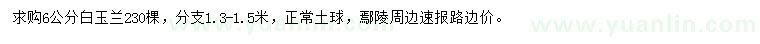 求購6公分白玉蘭