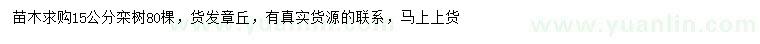 求購15公分欒樹