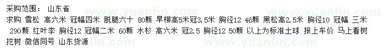 求購雪松、旱柳、黑松等