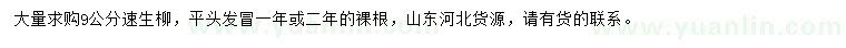求購(gòu)9公分速生柳