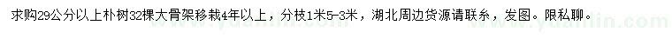 求購29公分以上樸樹