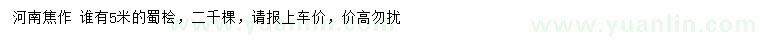 求購5米蜀檜