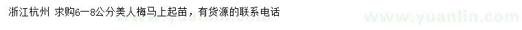求購(gòu)6-8公分美人梅