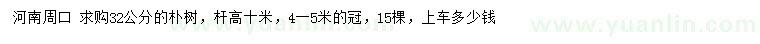 求購32公分樸樹