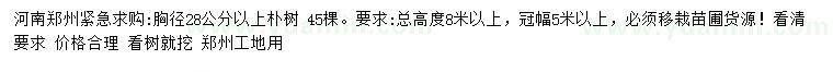 求購胸徑28公分以上樸樹